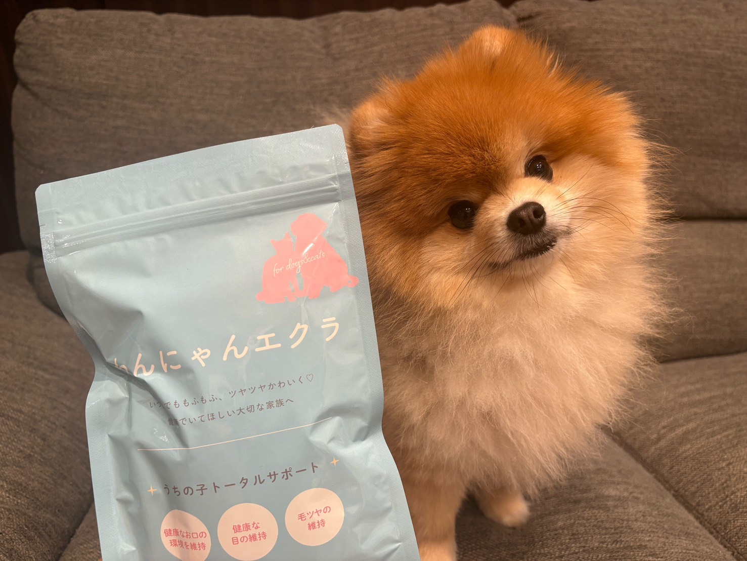 ご愛用者の愛犬