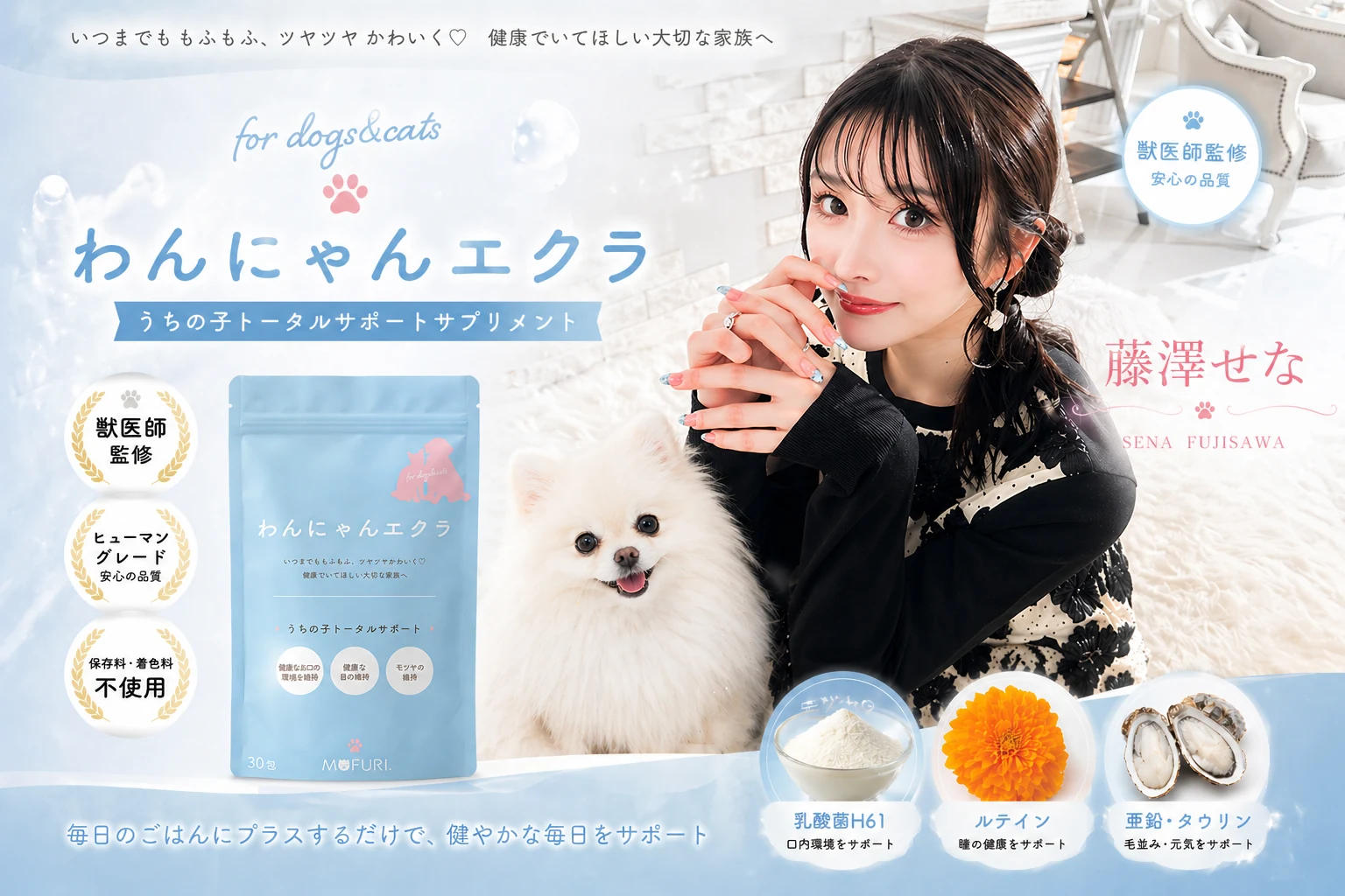 【にゃんちゃん様おまとめ専用】エコボトル90 他 わんにゃんエクラ誕生ストーリー｜代表 藤澤せな（せなぽよ／senapoyo