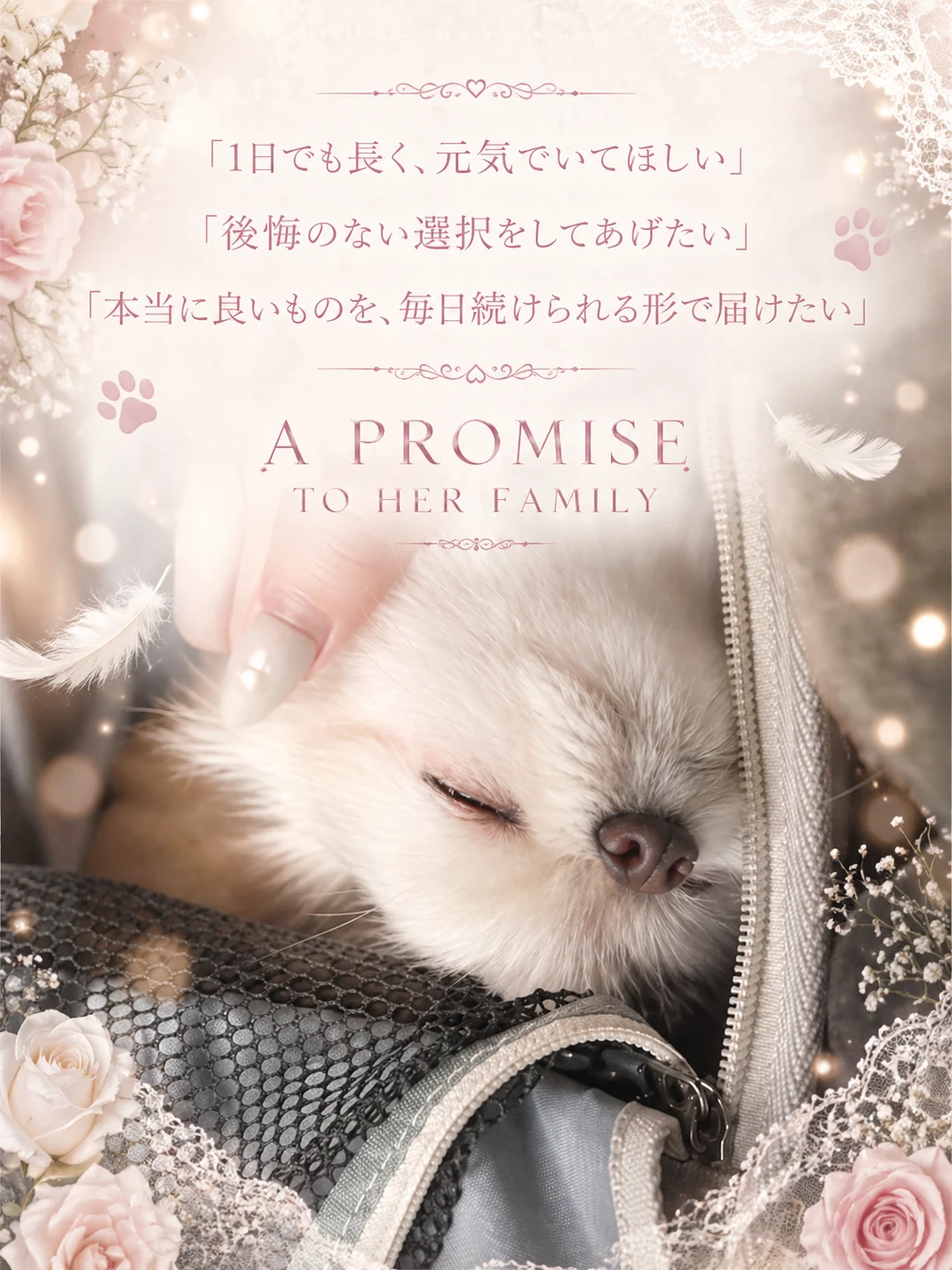 わんにゃんエクラ誕生ストーリー｜藤澤せな（せなぽよ／senapoyo）と